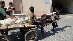 شهداء بلا مشيعين بسبب القصف على غزة.. جثث تنتظر مَن يتعرف عليها