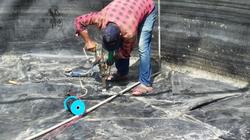 صور.. رفع كفاءة المزرعة السمكية بمنطقة واسط في مدينة نويبع