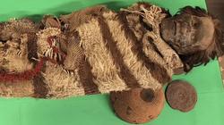 خبير أثري عن العثور على خرائط تجارية بين الفراعنة ودول العالم: إنجاز بحثي كبير
