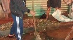 ساعة الأزمة.. المواطن الجدع بـ«100 مسئول حكومى»