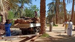 بالملح والطين.. بدء أعمال إنشاء فرع مكتبة مصر بسيوة على الطراز البيئي
