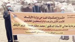 «الأوقاف» تنفق 2 مليار و400 مليون جنيه لتقديم المساعدات للأكثر احتياجا