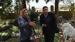 «بحوث البساتين» ينسف الأسطورة: قادرون على إنتاج «الخشب محلياً» بجودة تضاهى المستورد.. وبأسعار أقل