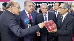 حكومة «إسماعيل» تغازل المستثمرين