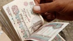 لو معاك 100 ألف تستثمرهم في إيه؟