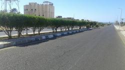 رفع مخلفات أشجار من مدرسة الصوالح بالإسكندرية