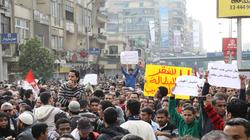 أحزاب «25 يناير» كانت صرحاً من «كلام» فهوى