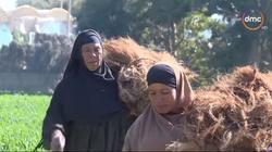22.5 جنيه قوت يومهم.. "فايزة وسعدية تفتلان الليف بدلا من الشحاتة"