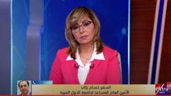 أمين عام مساعد الجامعة العربية: تنسيق جماعي وإقليمي لإيقاف عنف إسرائيل