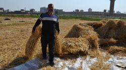 سعر طن الأرز الشعير اليوم السبت 27-9-2025 في الأسواق.. تحديث جديد
