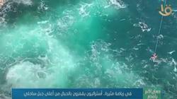 أستراليون يمارسون رياضة القفز بالحبال من أعلى جبل ساحلي (فيديو)