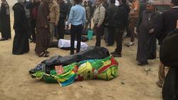 مصرع طفل دهسته سيارة مسرعة بقرية بيت داود في سوهاج
