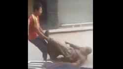 آخرها سحل رجل عجوز في الشارع.. التنمر بالمسنين "مشهد حزين لا ينتهي"