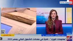أستاذ الاقتصاد: الدولة استغلت فترة كورونا في رفع معدلات الشمول المالي