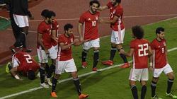 بالفيديو| «صلاح» يلدغ تونس ويقود مصر لإسقاط نسور قرطاج