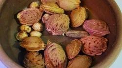 ارميها وربك يرويها.. مبادرة بالبحيرة لزراعة بذور الفاكهة وعدم إلقائها