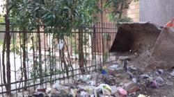 إزالة الحواجز وفتح طريق تقسيم الأطباء ومساكن الزراعة في كفر الشيخ