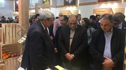 مصر تبحث عن أسواق بديلة للحاصلات الزراعية فى «فروت لوجيستيكا» بألمانيا