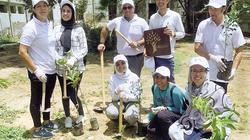 أشجار ليمون وخوخ ورمان لتحسين نفسية مرضى العباسية