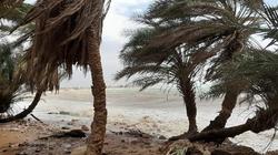 الأرصاد تحذر من رياح مثيرة للرمال والأتربة.. سرعتها تصل لـ20 كم