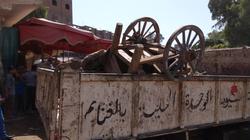 تحرير 16 محضر تمويني وبيئي وإزالة 11 حالة إشغال في "الغنايم" بأسيوط