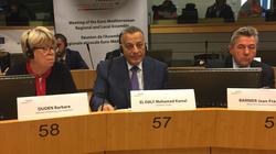 الدالي: الجيزة تستضيف 84 دولة من الجمعية الأورومتوسطية فبراير المقبل