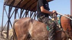 قرية جمجرة بالقليوبية تتشح بالسواد حزنا على استشهاد "النقيب عبدالله"