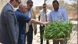 مدير التنمية المستدامة بمطروح يستقبل أعضاء البرنامج الرئاسي