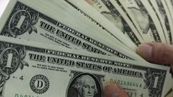 سعر الدولار مقابل الجنيه المصري في البنوك خلال التعاملات المسائية