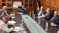 وزير الإسكان يتابع تقدم الأعمال في مشروع سد جوليوس نيريري بتنزانيا
