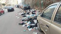 رئيس حي ثان بالإسماعيلية: رفع 42 طن قمامة من الشوارع