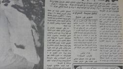 "الأرانب العملاقة" في الثمانينات.. وسيلة الحكومة لمواجهة غلاء "اللحوم"