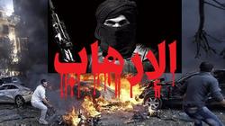 خبراء يشيدون بإدراج «حسم» على قائمة الإرهاب: خطوة إيجابية وأمريكا لديها أدلة على تورط الإخوان فى العنف