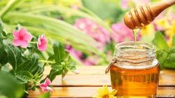 الماء بالعسل- قوة للأبدان وشفاء من الأمراض