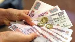 المصانع تستعد لتنفيذ «الأدنى للأجور».. ومصدر: لا توجد طلبات استثناء