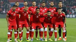 تردد القنوات الناقلة لمباراة تونس والدنمارك