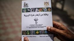 دليل بيئي يضم 80 نوعا من أزهار غزة البريّة