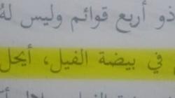 أول تعليق من كلية دار العلوم على سؤال «بيضة الفيل»: رمز فلسفي