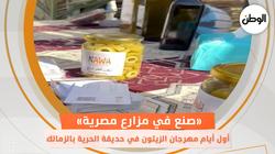 أول أيام مهرجان الزيتون في حديقة الحرية بالزمالك..«صنع في مزارع مصرية»