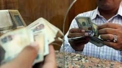 بعد خفض العائد.. سعر الفائدة الجديدة على الشهادة البلاتينية من البنك الأهلي