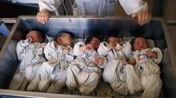 "مزرعة رضع" لبيع وشراء وتبادل الأطفال في الهند بـ1400 دولار فقط