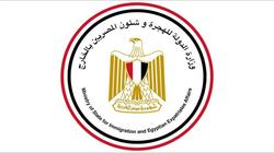 إنفوجراف| أبرز استفسارات المصريين بالخارج حول الاستفتاء