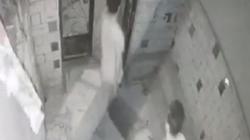 تجديد حبس 3 أشخاص كونوا تشكيلا عصابيا لسرقة المساكن في حلوان