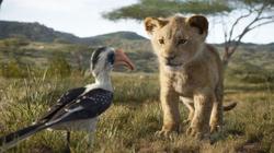 النقاد يصدمون الجمهور قبل طرح «The Lion King»: فيلم وثائقى خال من الحياة