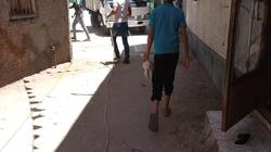 حملات نظافة في ثالث أيام العيد بمدينة الإسماعيلية