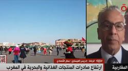 خبير اقتصادي: صناعة الطائرات والسيارات ساهمت في التنمية الاقتصادية بالمغرب