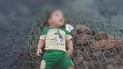 "ألقت ابنها في البحر".. نفسيون عن حادث شرم الشيخ: مدمنة ومضادة للمجتمع