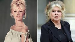 أيقونة الفرنسية بريجيت باردو تشارك في فيلم وثائقي طويل عن مسيرتها الفنية