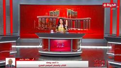 مفكر سياسي: القمة الباريسية الحالية أبرز نتائج مؤتمر «cop27» بشرم الشيخ