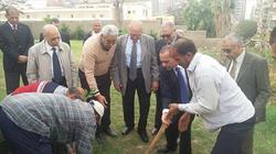 مبادرة لتجميل المنصورة: ازرع شجرة.. تاخد محصولها